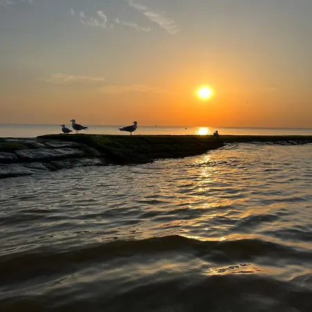 Feriehus Beach Bungalow Green Middelkerke
